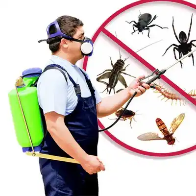 pest control Bent Creek